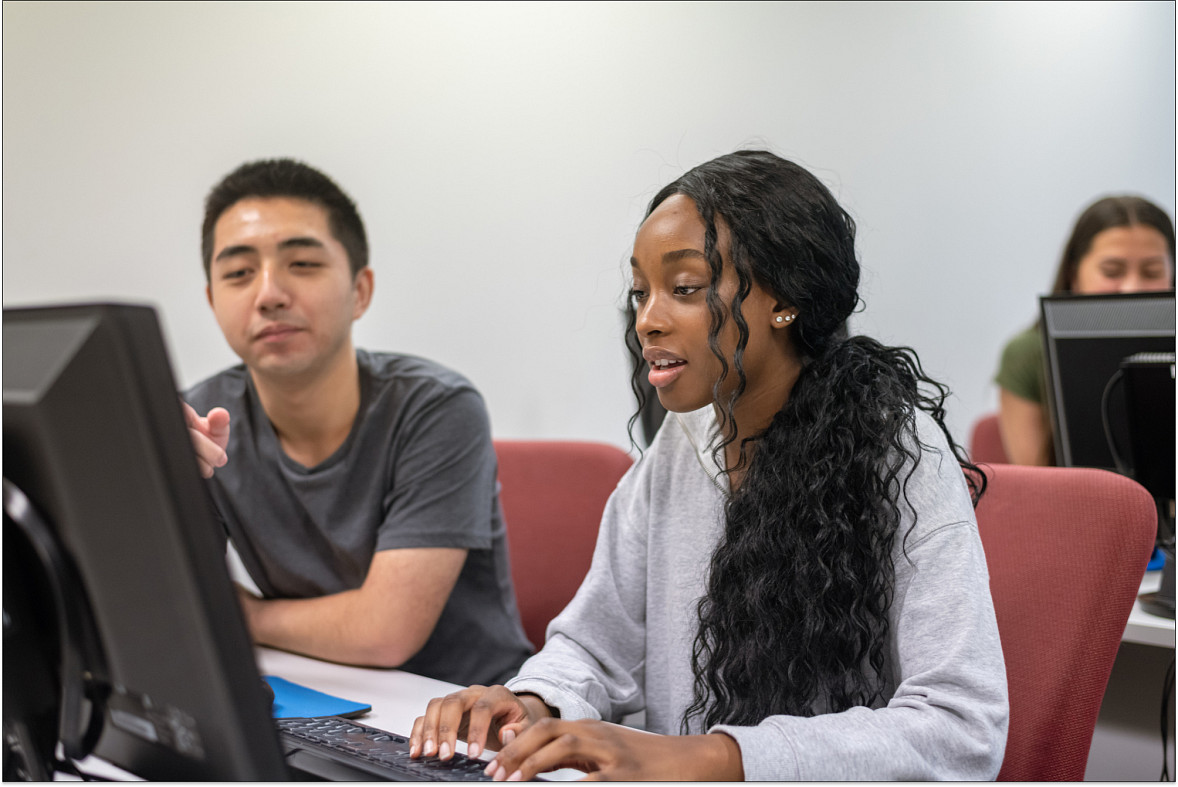 software engineers working in office